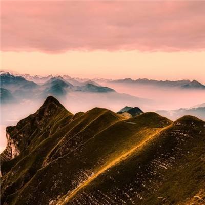 【国际漫评】“芬”狂山姆