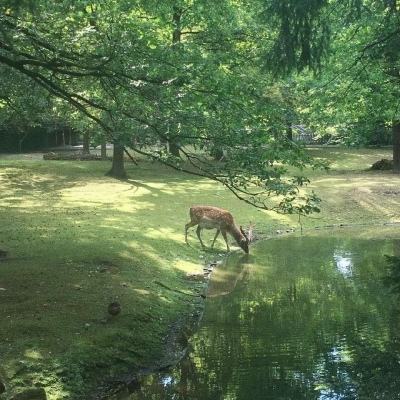 比亚迪助力考文垂成为英国首个公交全面纯电动化城市